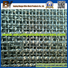 Stainless Steel Crimped Wire Mesh for Protection